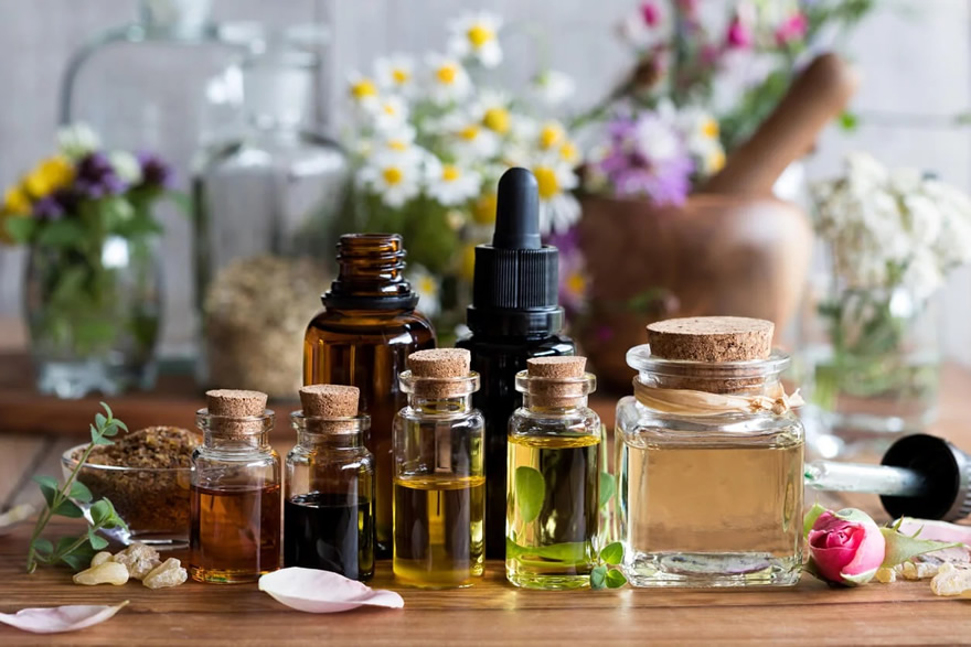 Aceite Portador