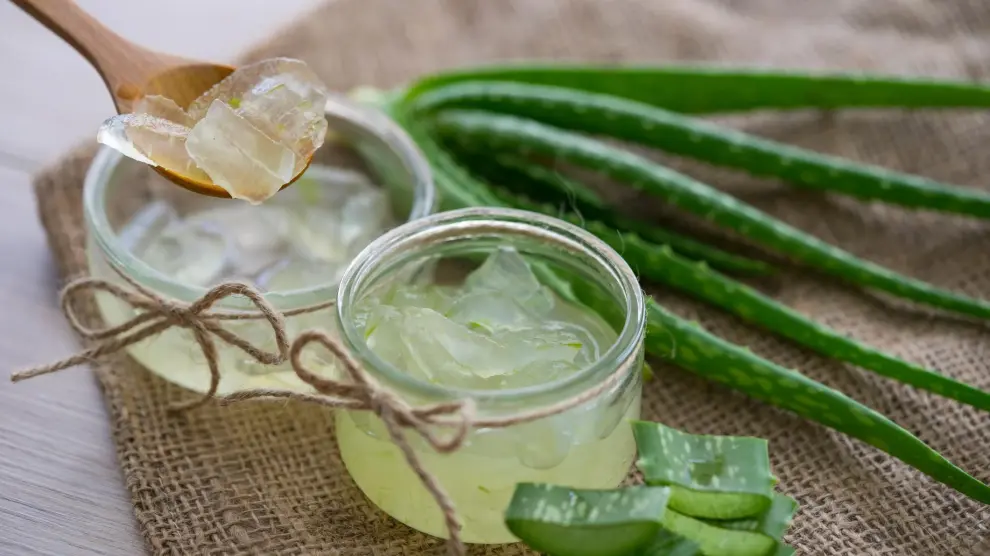 Aloe Vera Propiedades