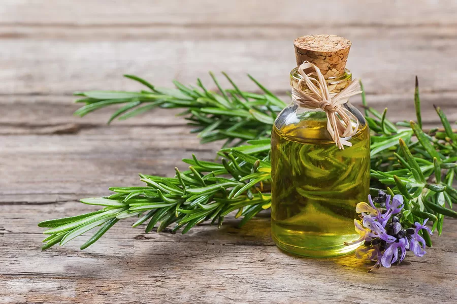 aceite esencial de romero