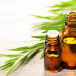 Aceite Esencial de Árbol de Té