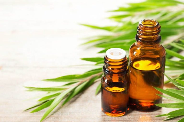 Aceite Esencial de Árbol de Té