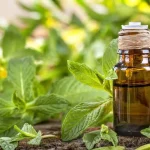 Aceite Esencial de Menta