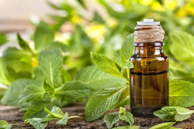 Aceite Esencial de Menta